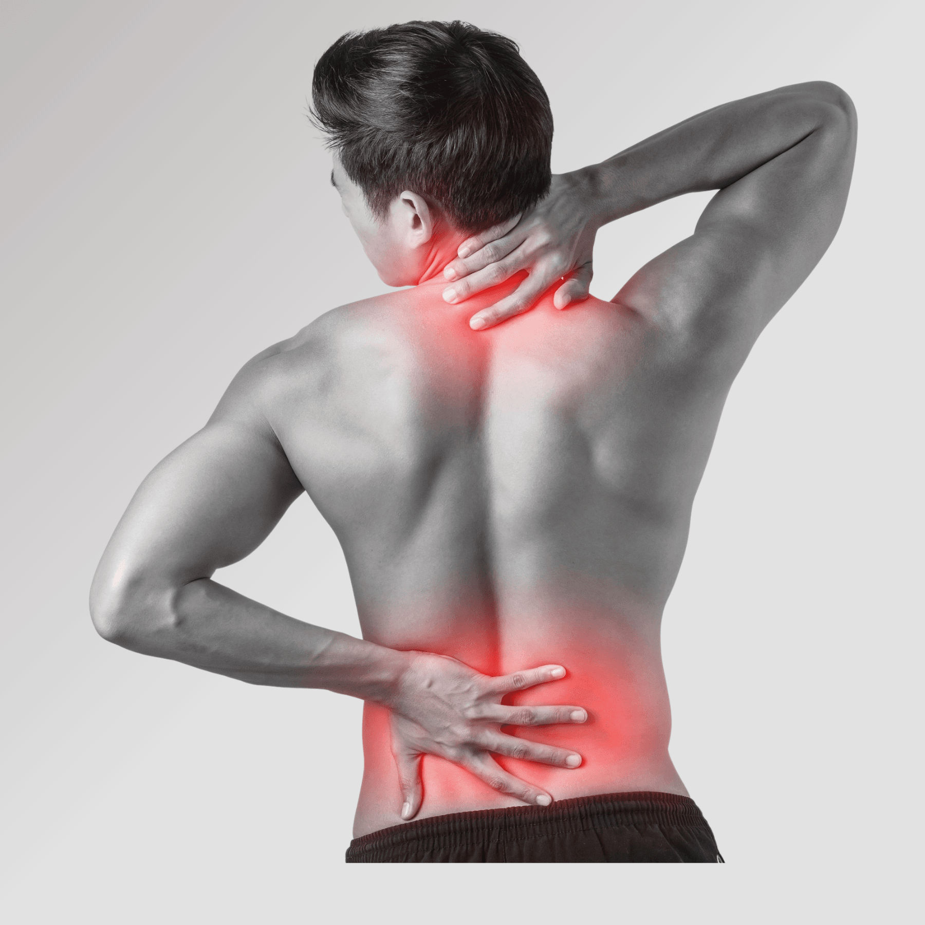 Spine