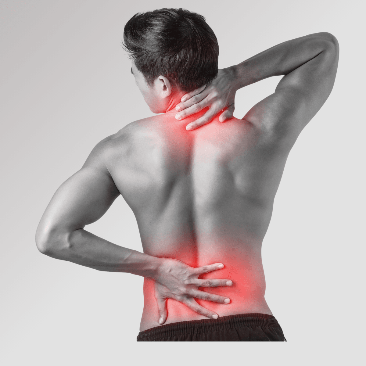 Spine