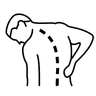 Supports Lower and Mid-back